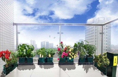 都市农夫种植套餐